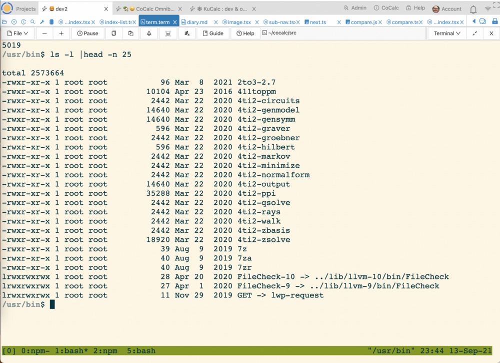 Terminal showing listing executables in CoCalc